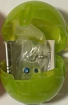 綠皮