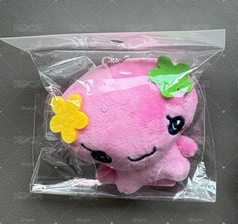 花花吉