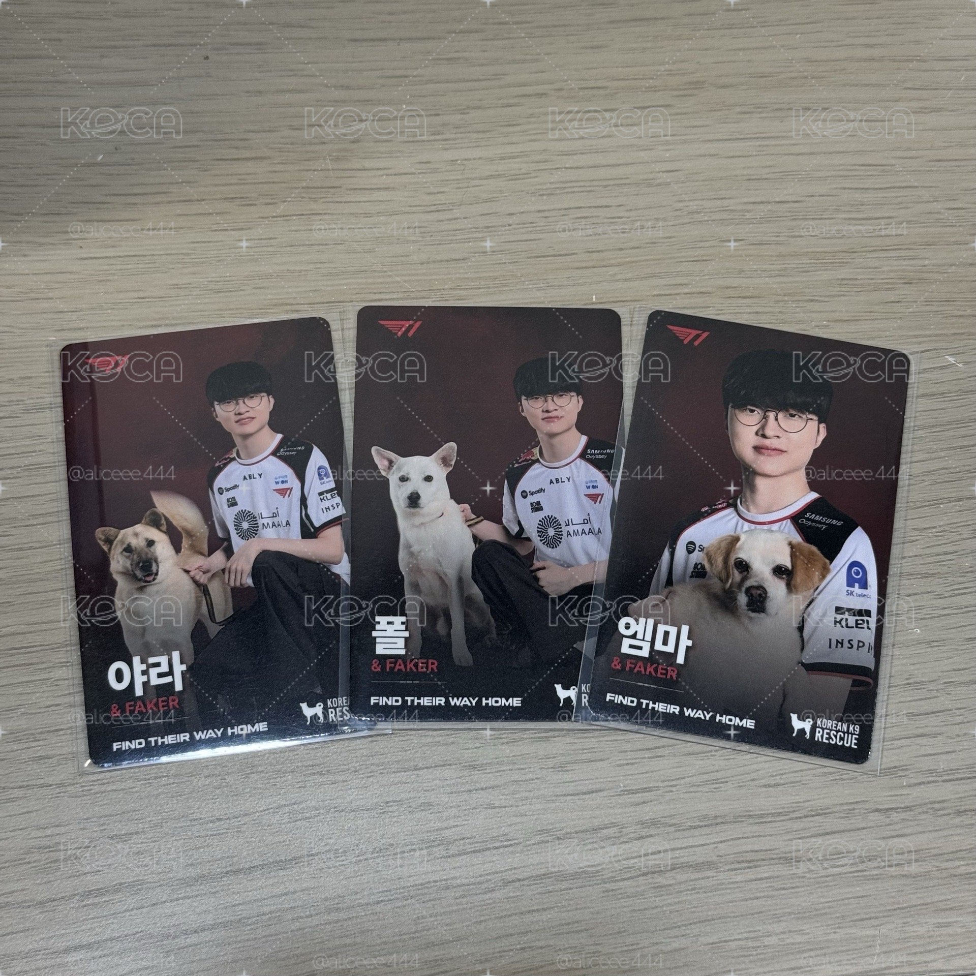 KK9R 公益狗狗卡 FAKER