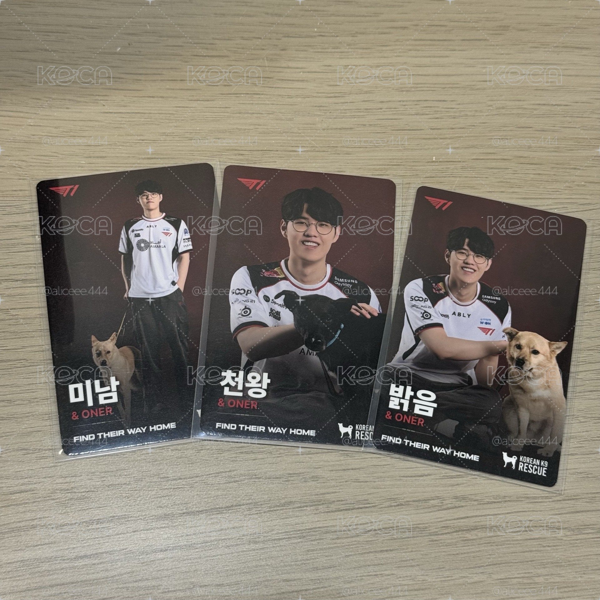 KK9R 公益狗狗卡 ONER