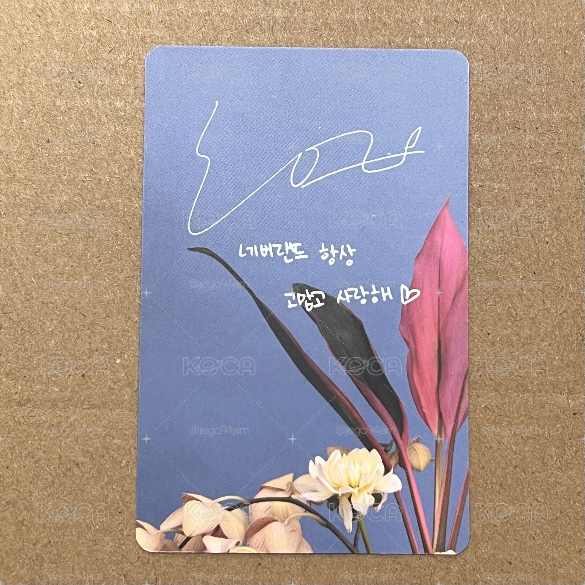 娟卡盤 各種髮色+各種帽子組合