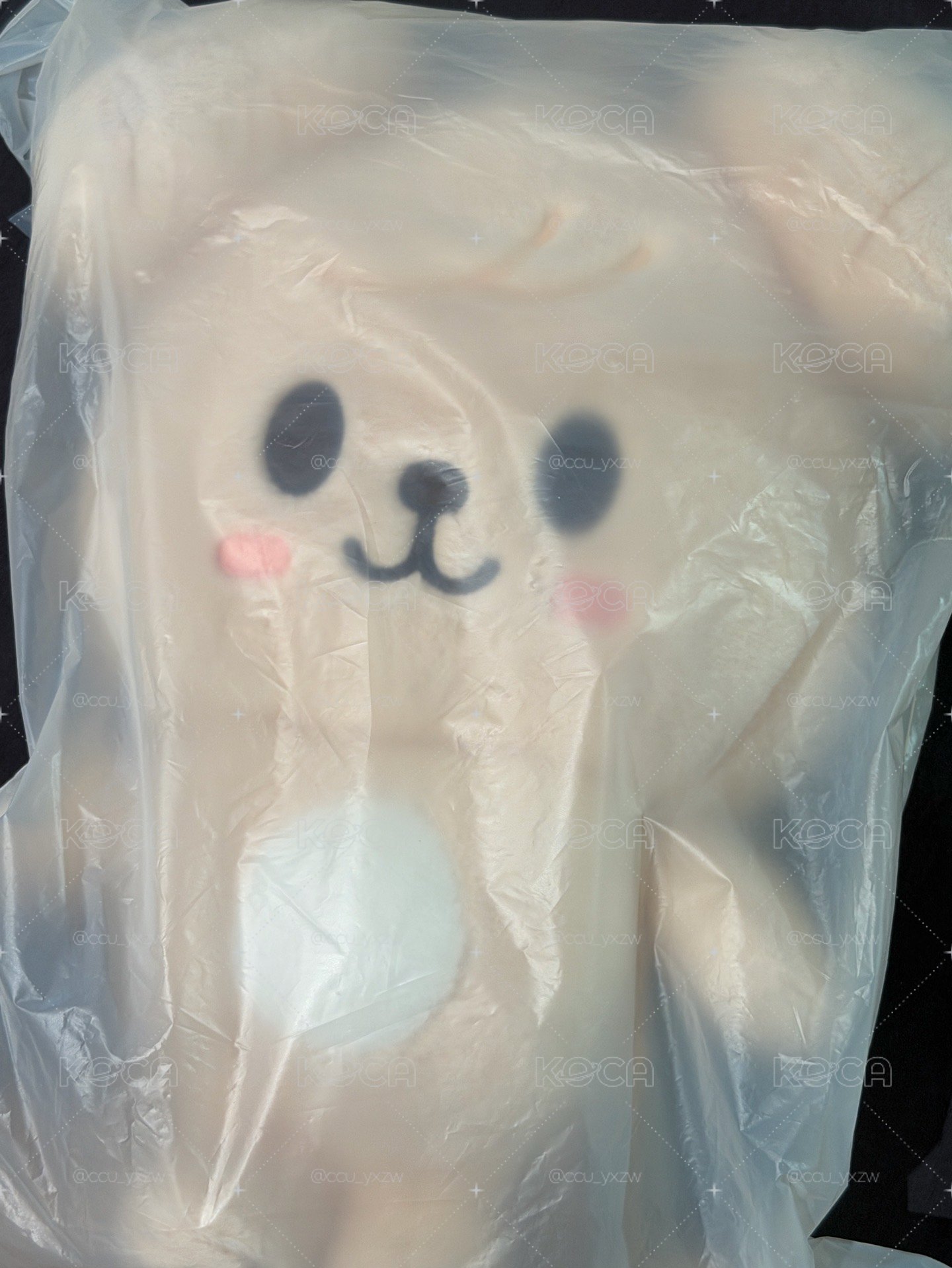 ⚐˒˒帕皮後背包