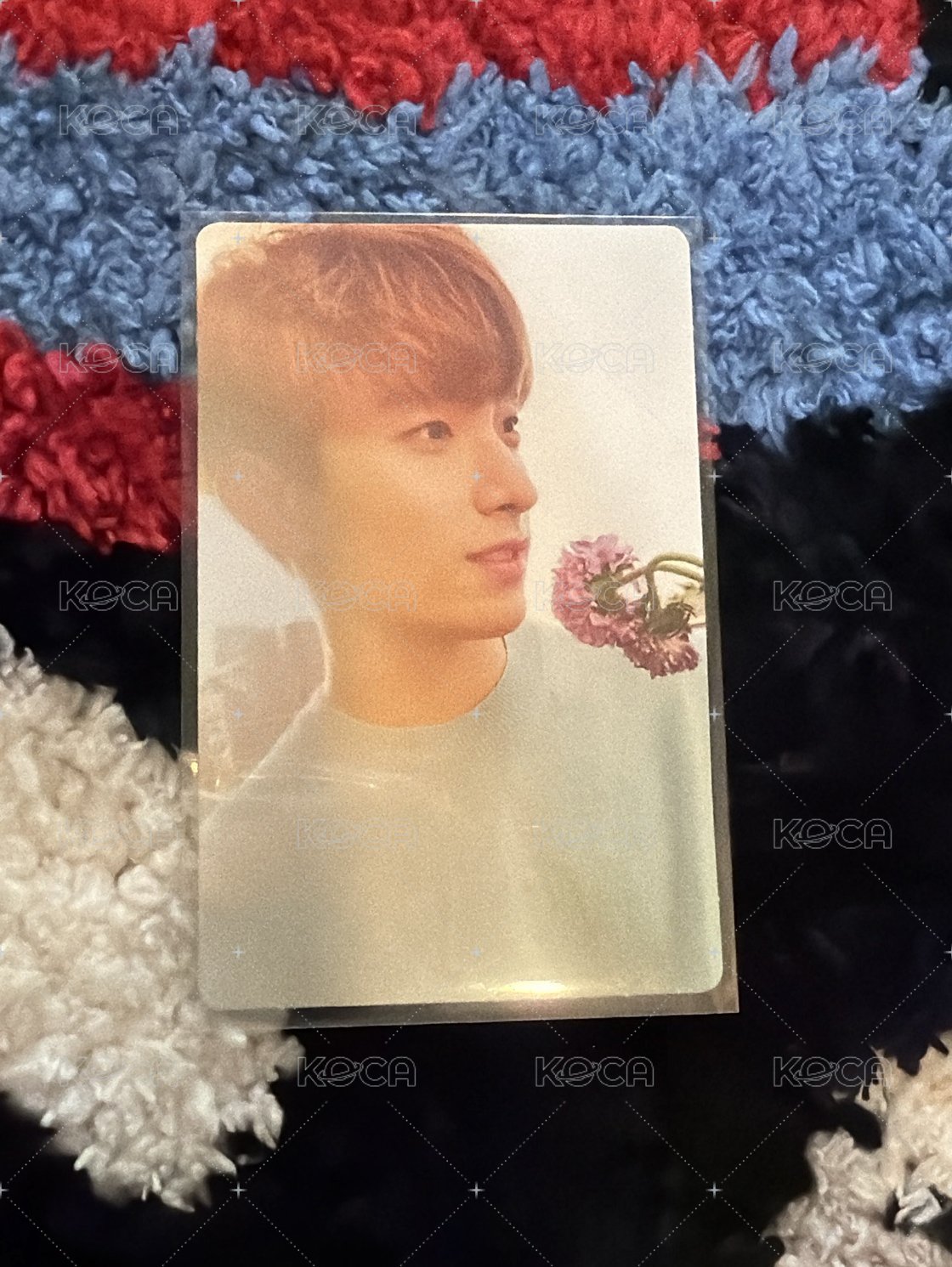 正二 拿花帥氣小狗