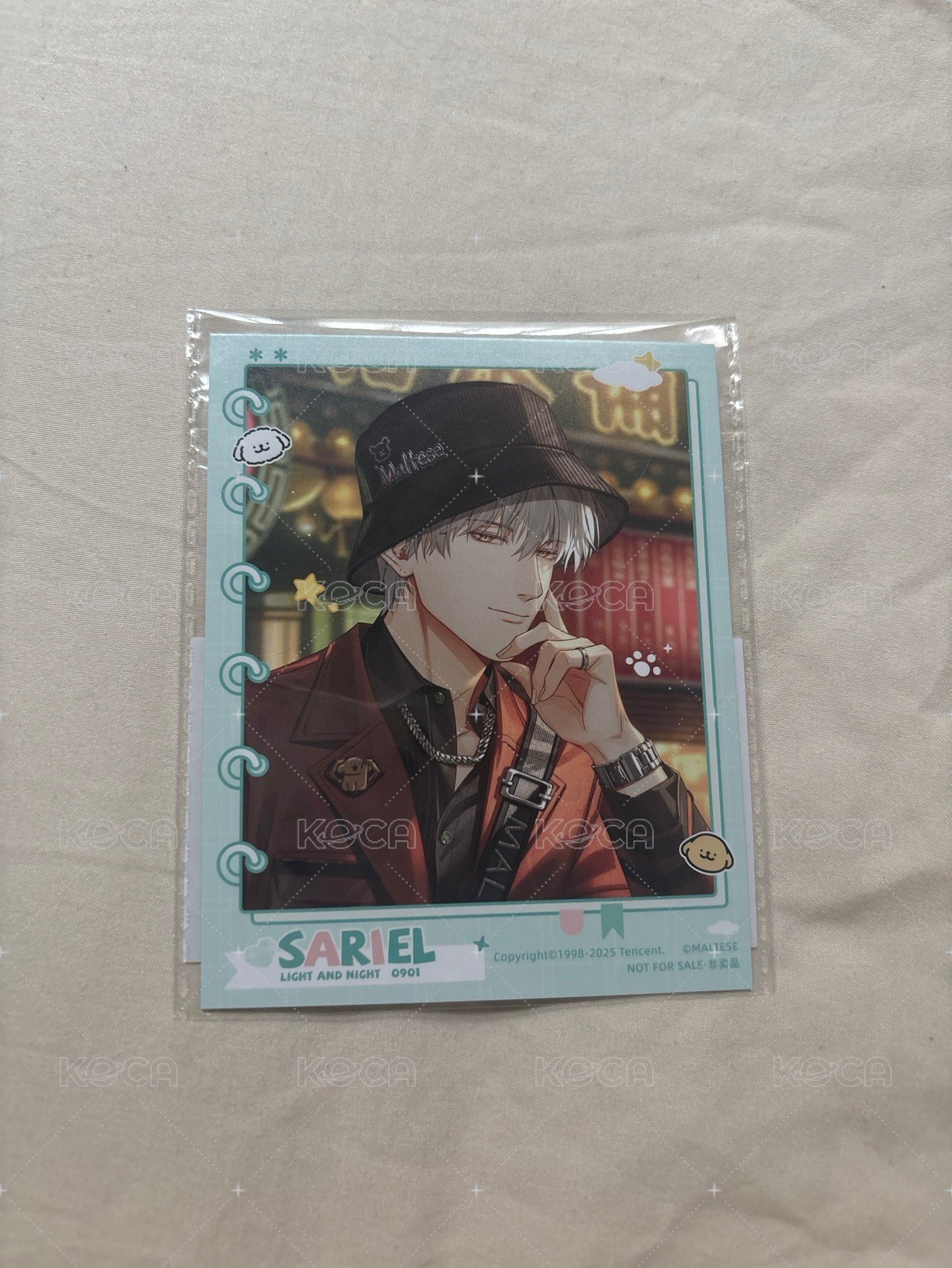線條小狗滿贈拍立得