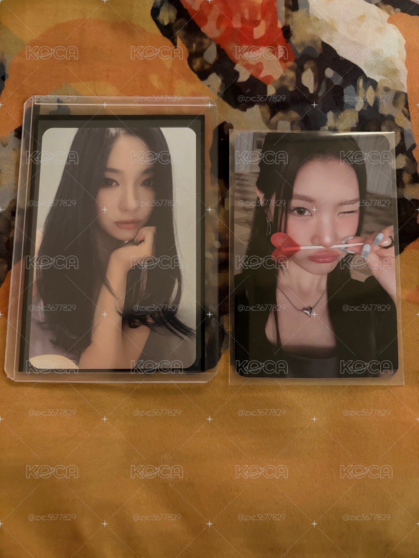 寧寧 送哈兔哈專卡