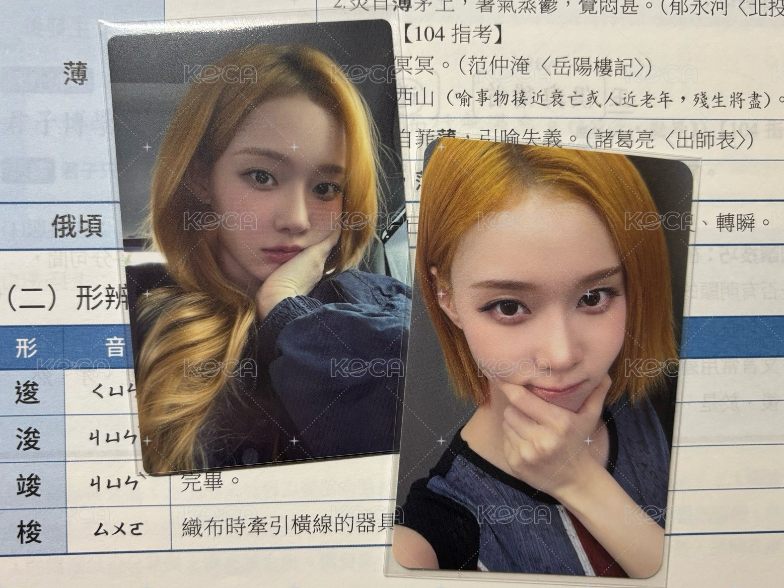 肯悅冬ms冬