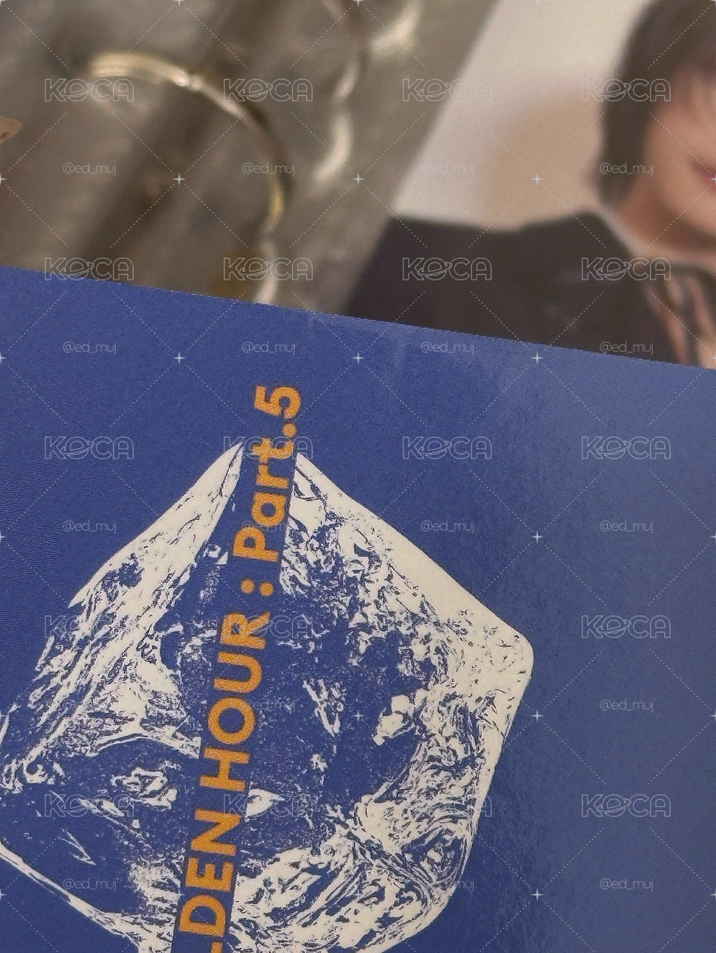 傘海洋朋友