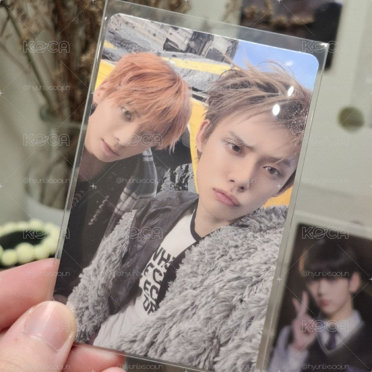 貓貓🦊🐿️