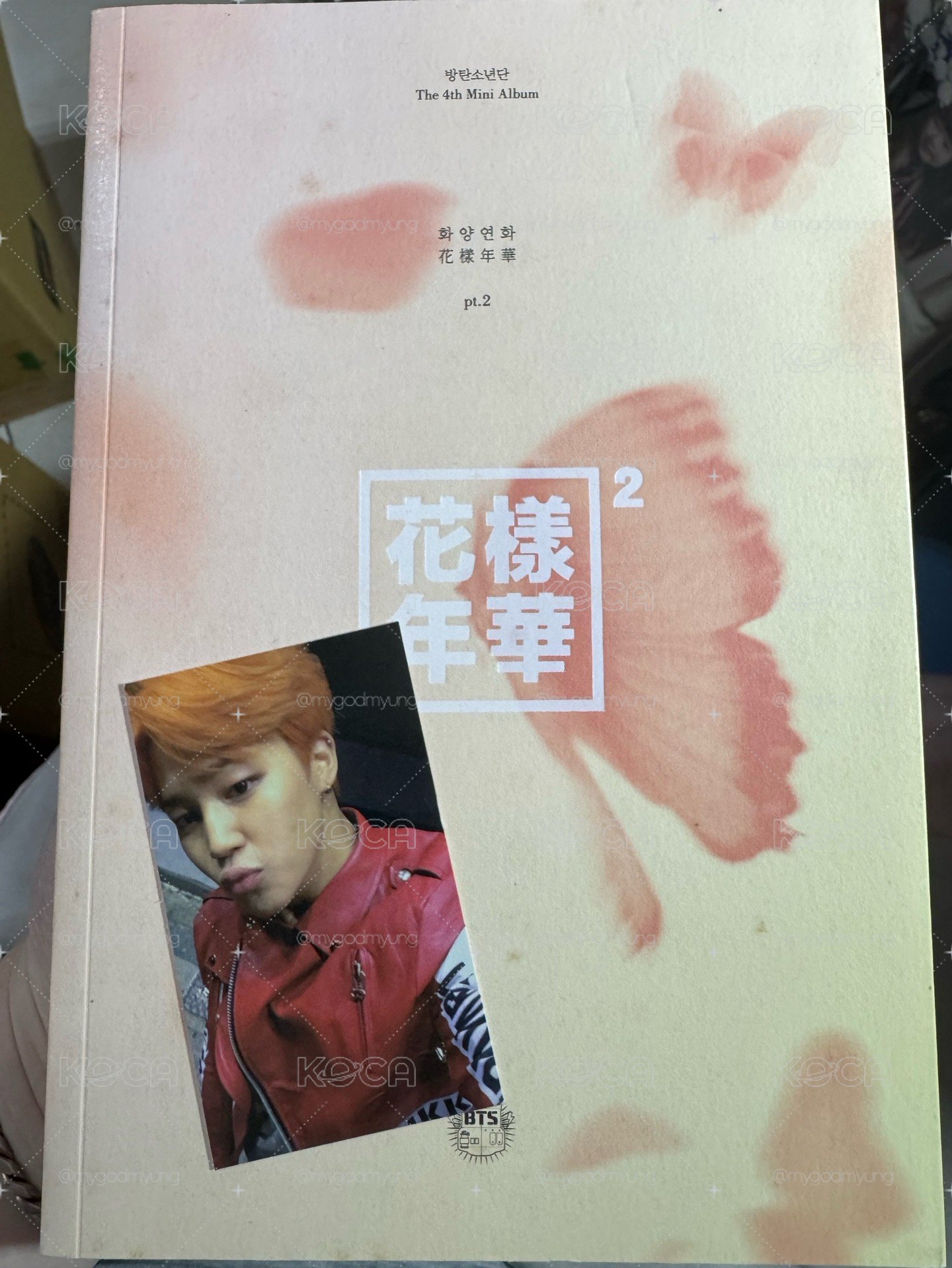 朴智旻 花漾年華 全專