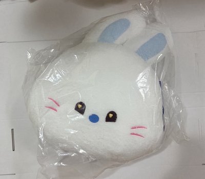 BUNINI 抱枕 拖鞋 中型兔兔 保溫杯全新未拆