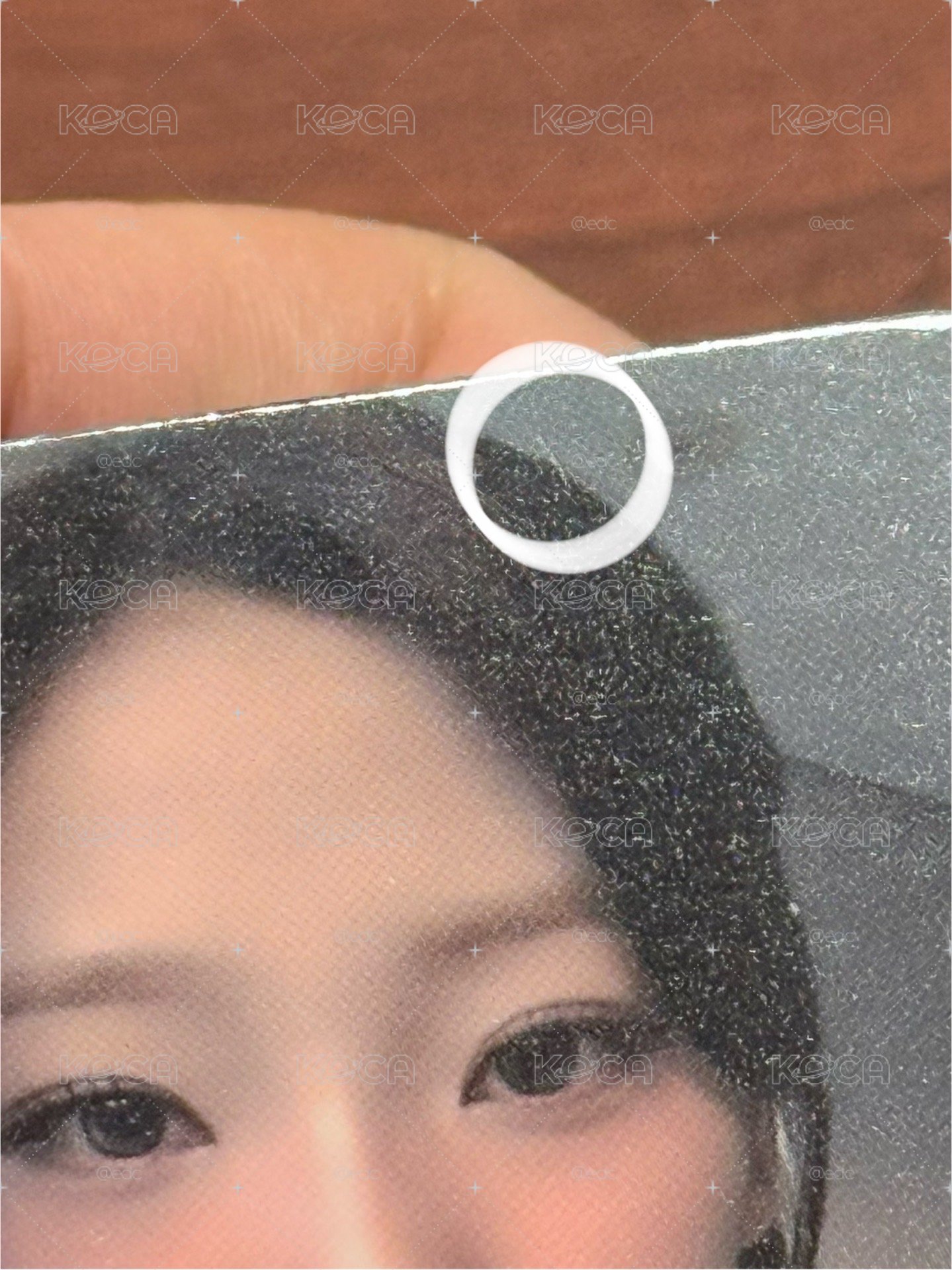 stella wf特典
