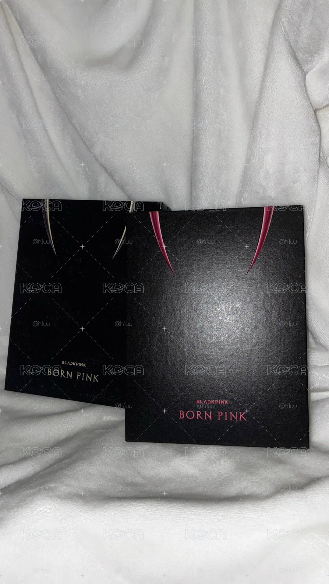 BLACKPINK BORN PINK 專輯 給他一個家吧！🥺🥺