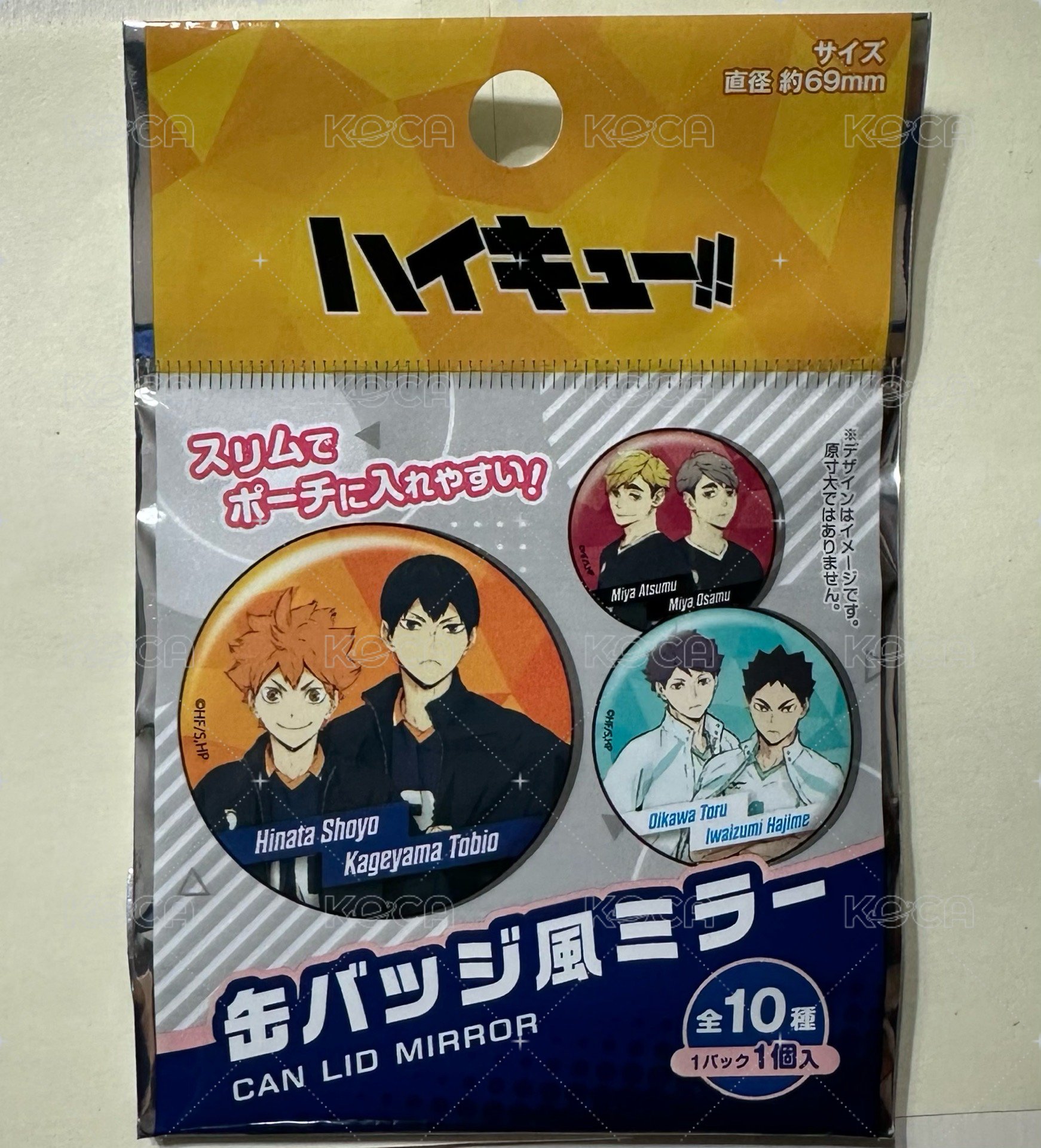 全部10入