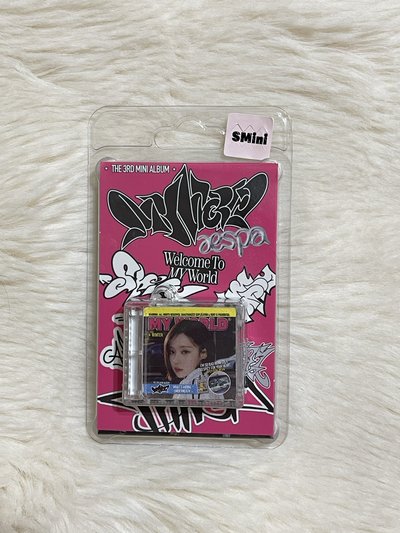 MY World smini 空專
