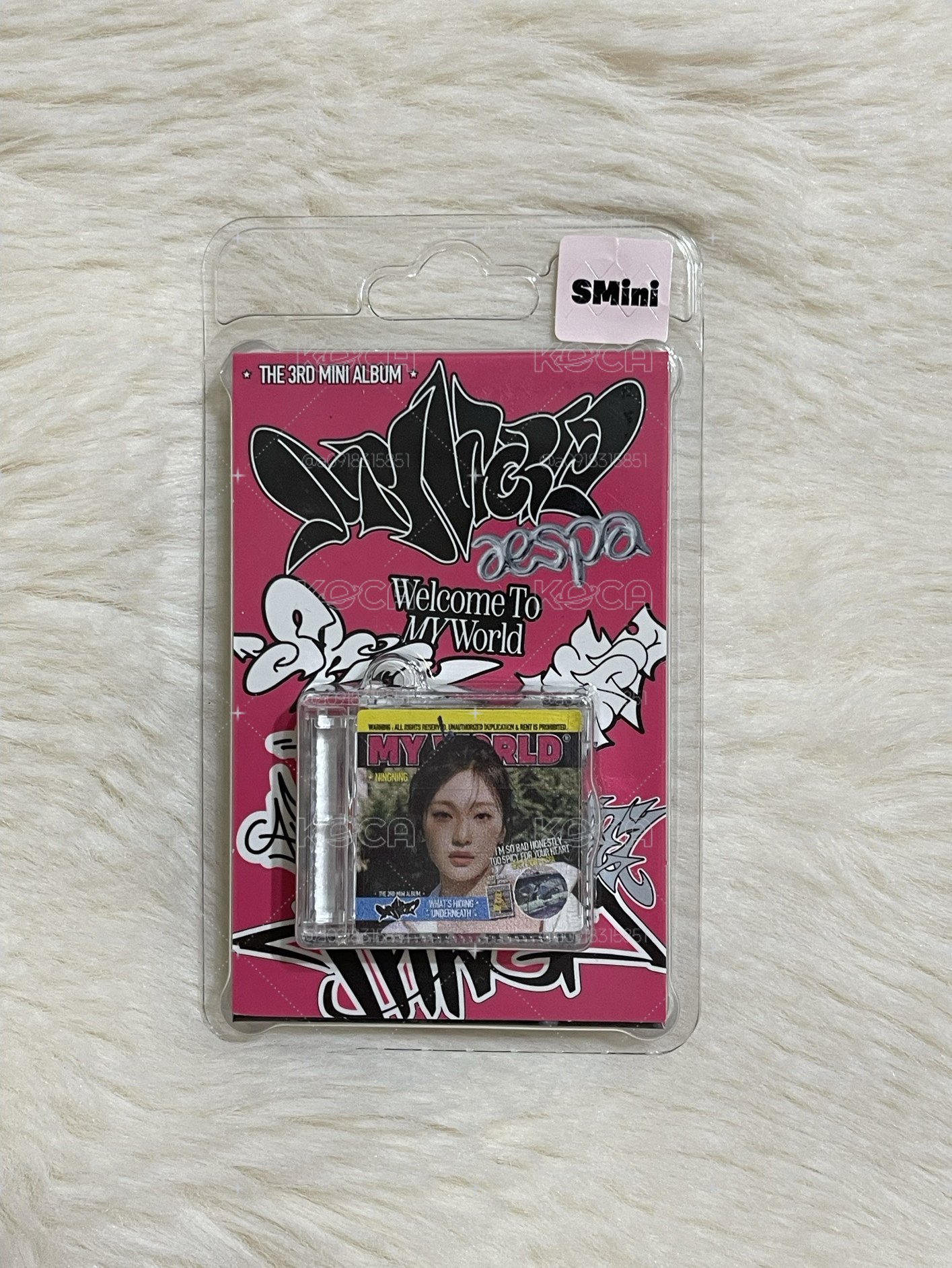 MY World smini 空專