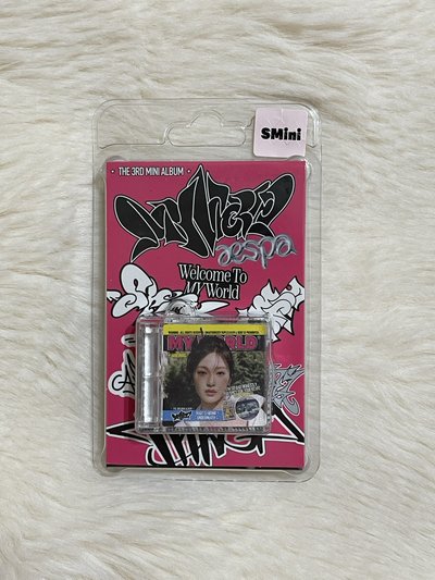 MY World smini 空專