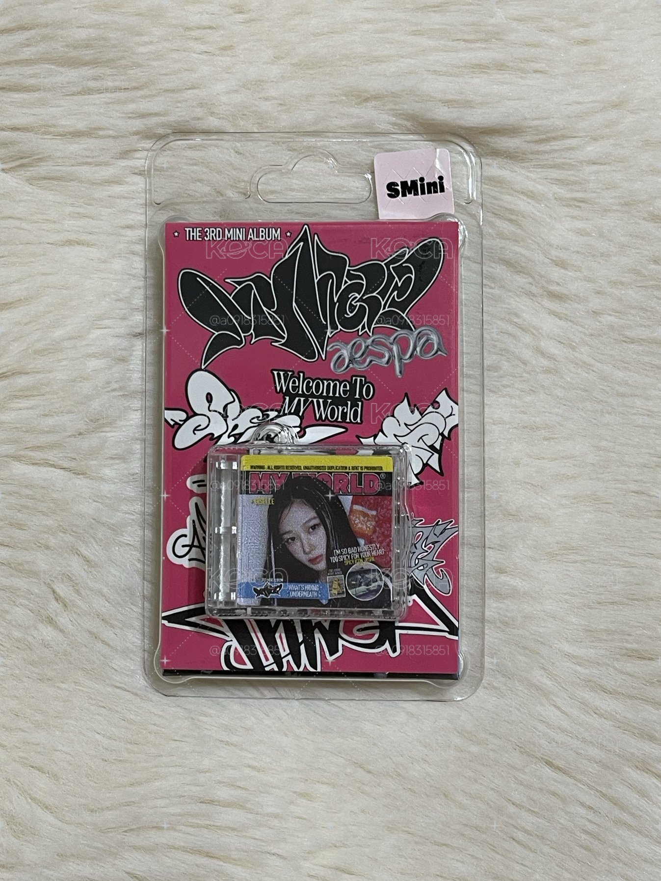 MY World smini 空專