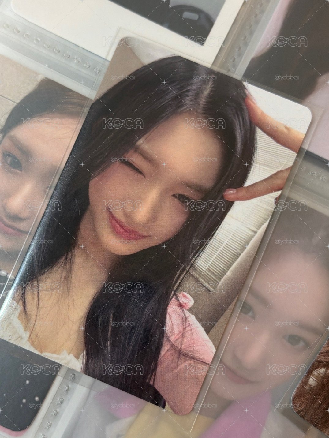 貓耳瑞