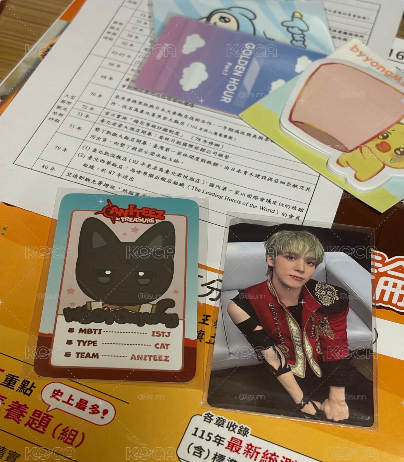 汪汪咪咪🐕🐈‍⬛