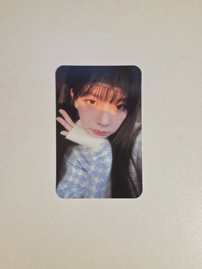 陽光柚🐱