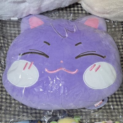 ANITEEZ 傘抱枕