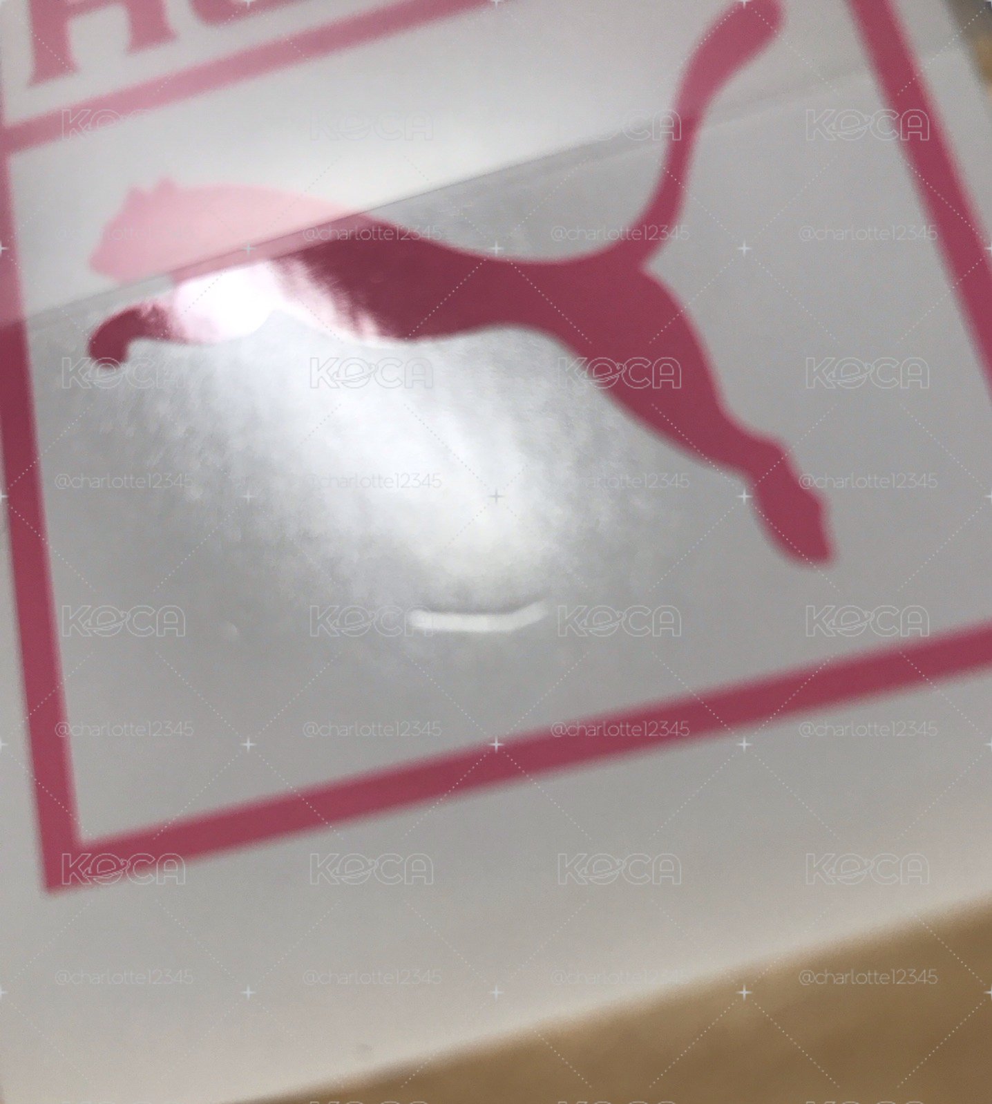 肉 puma 代言卡