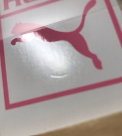 肉 puma 代言卡