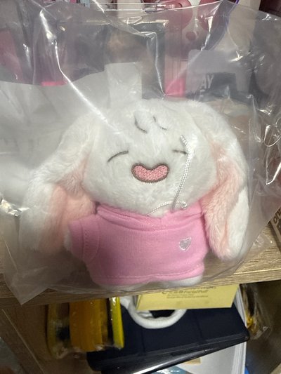 朴寶英娃娃