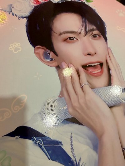 碩大扇*3