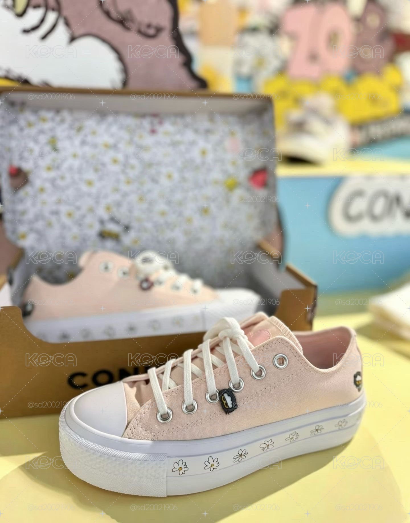 預購 Zoa & Converse 