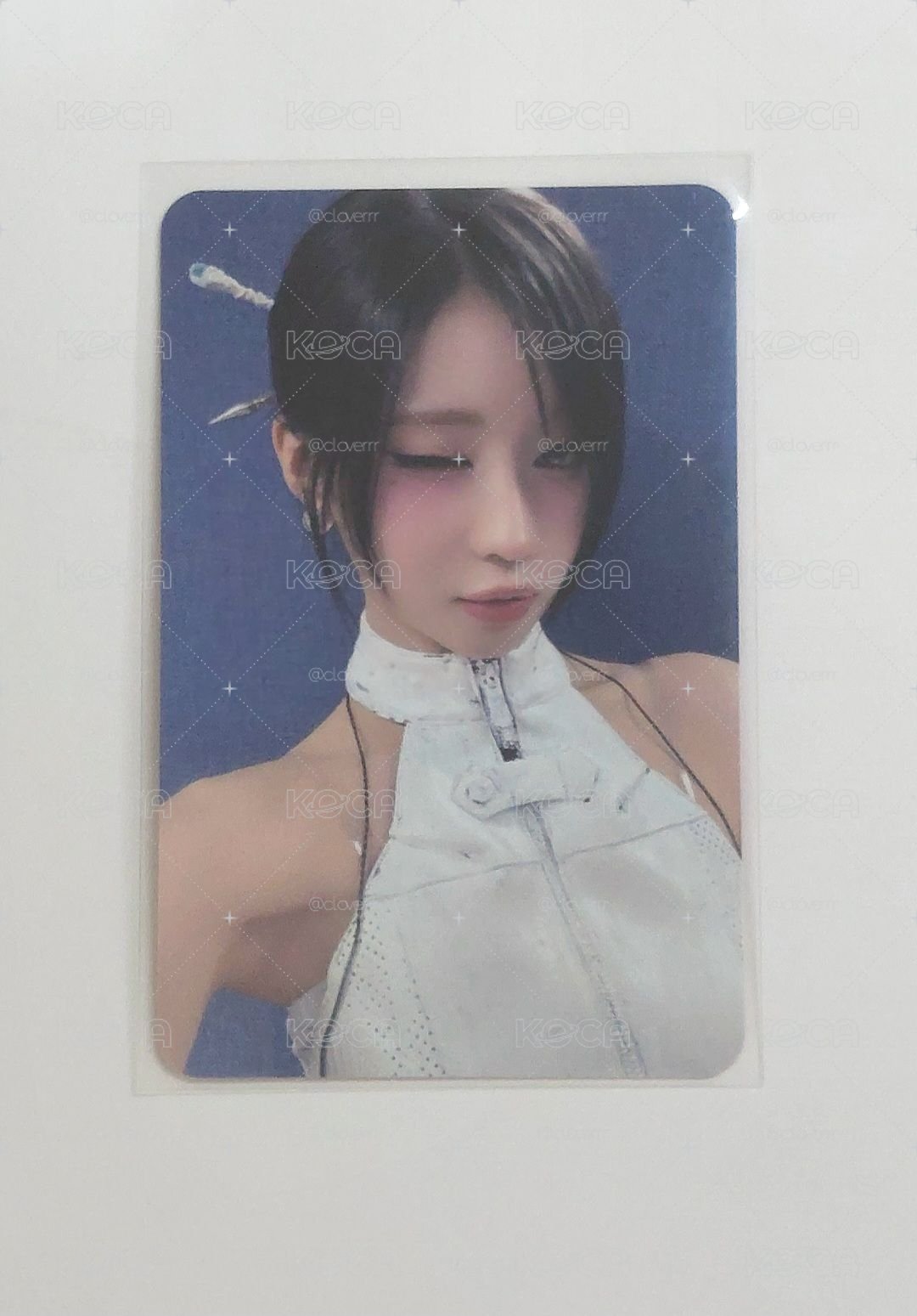 二週年ms角 武士角