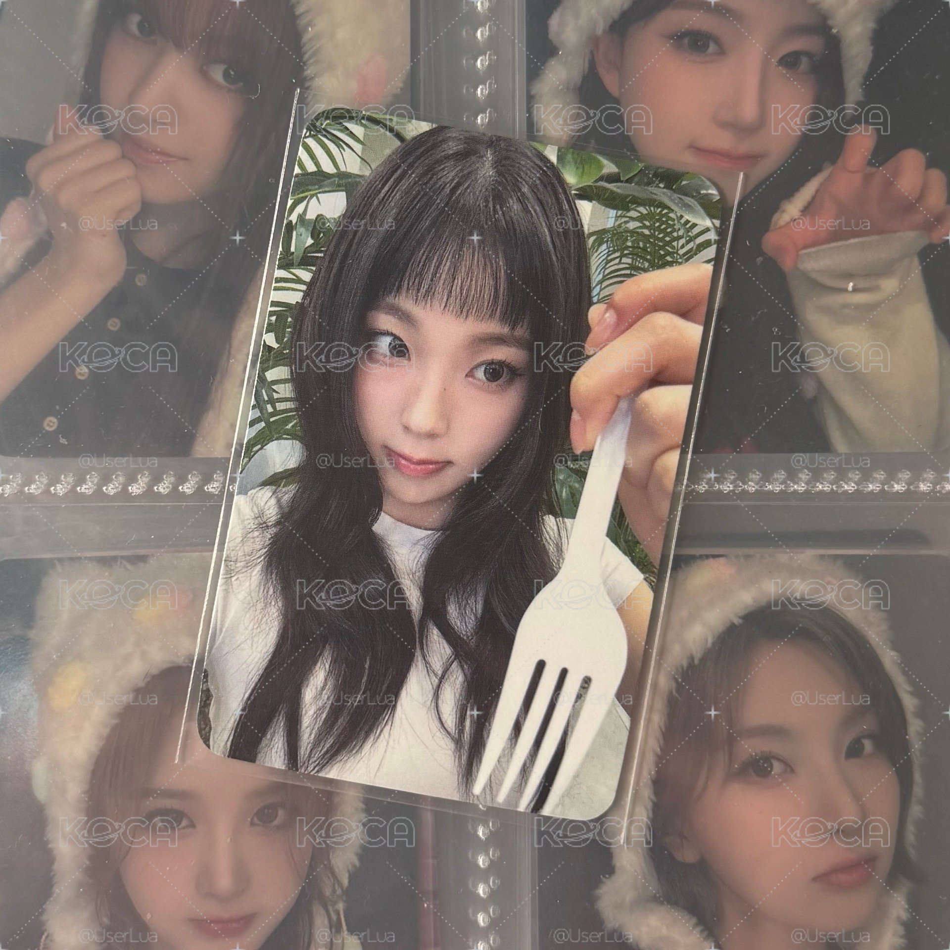 🐳/🪼STICK OUT mmt禮儀 圭