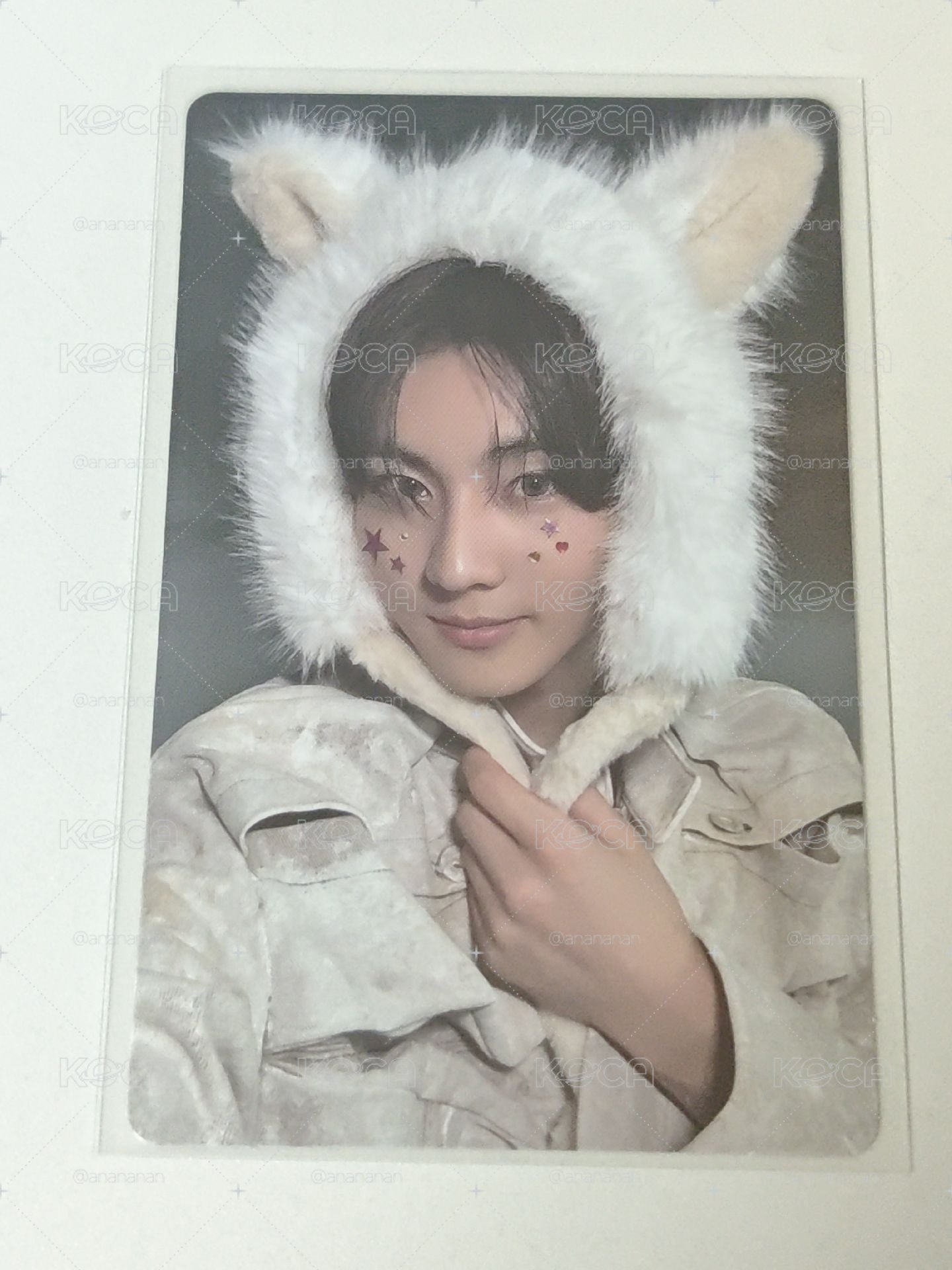wvs元