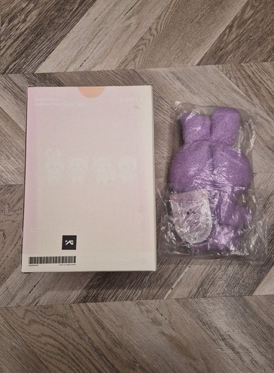 二巡 秀大娃 零錢包