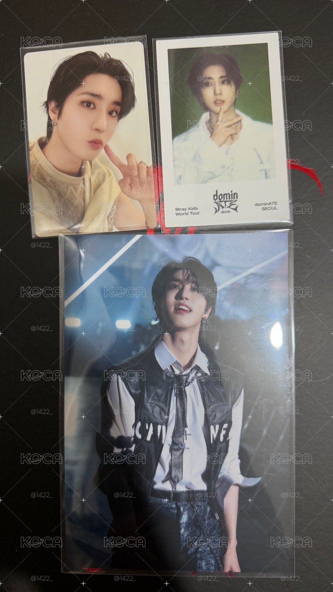 dominATE DVD set城