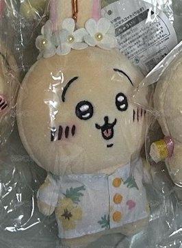觀光兔