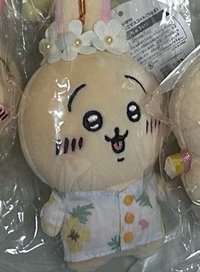 觀光兔