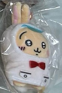 雨衣兔兔