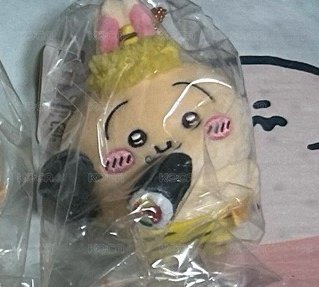 節分兔兔