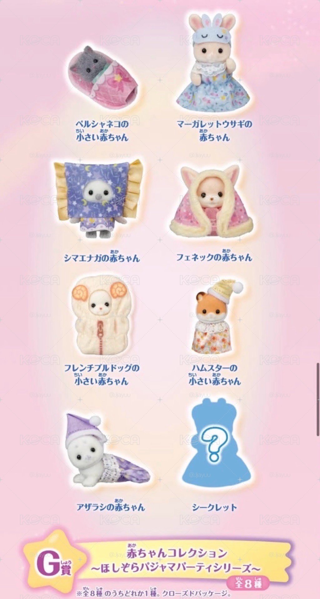 盲袋