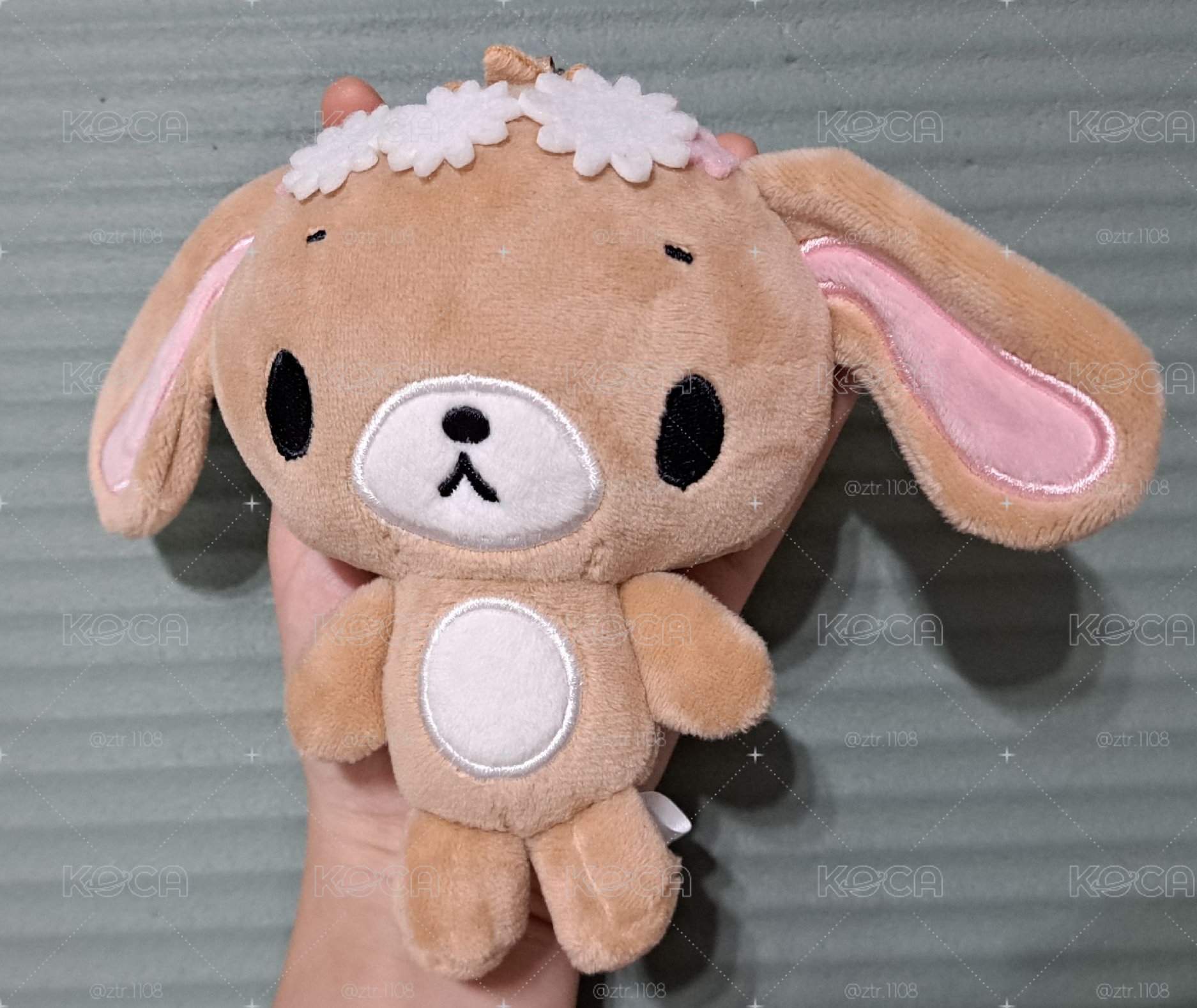 蜜糖邦尼