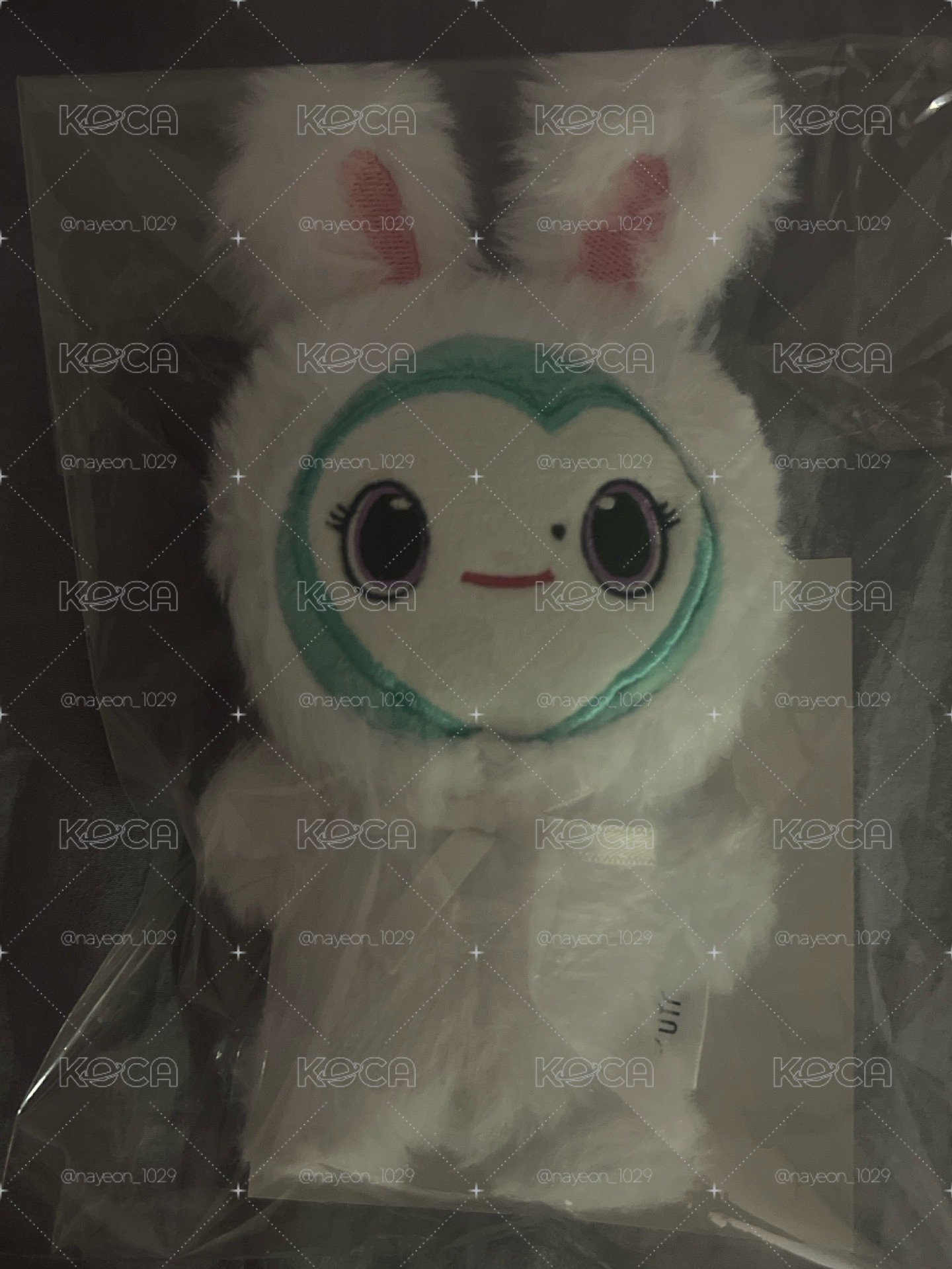 南兔娃