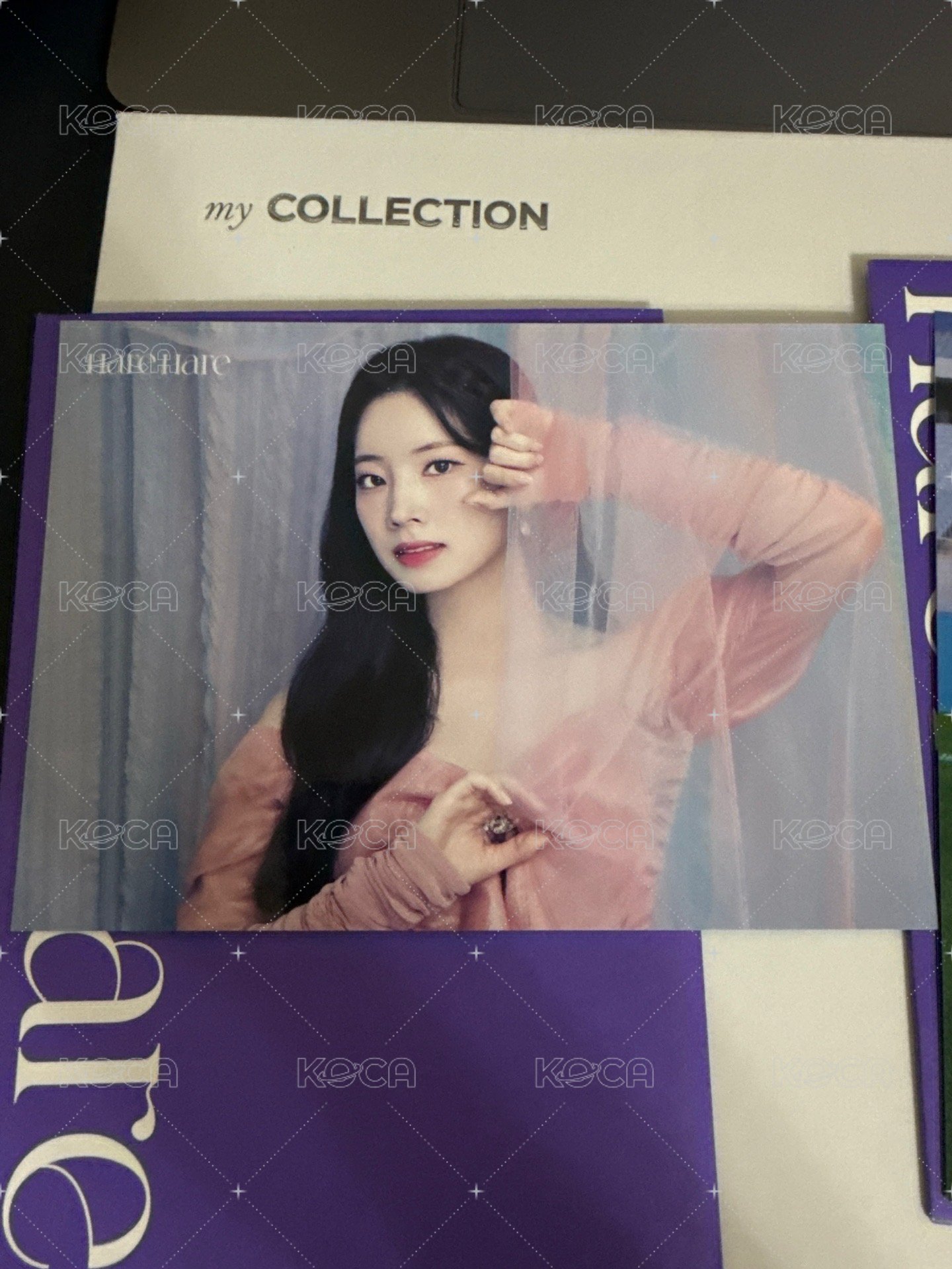 多賢