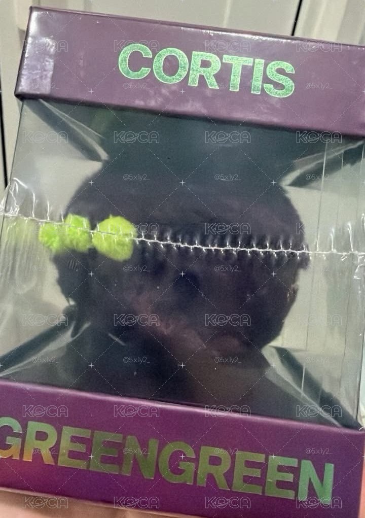 CORTIS 紫球專未拆
