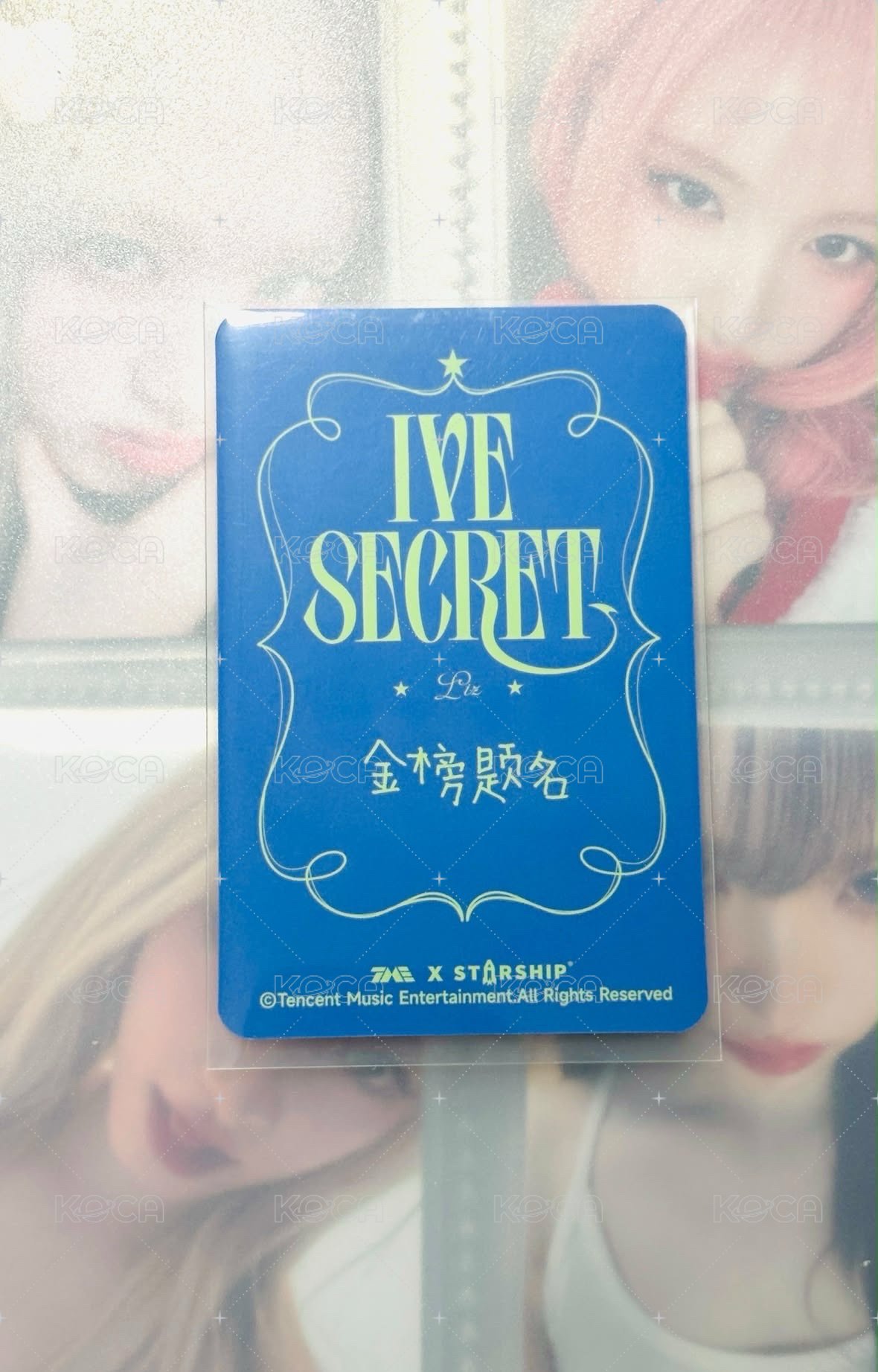 粉髮中背栗（卡背如圖14）