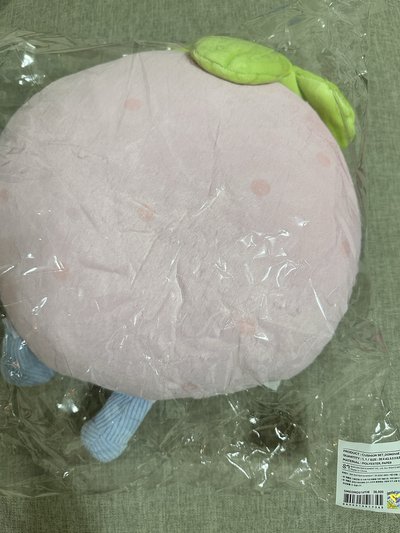 水果抱枕-東海