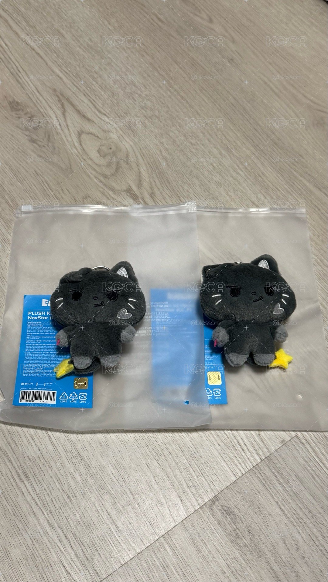 Enhypen Enchin 恩親 現貨✅ 娃娃、手燈套、卡套、吊飾