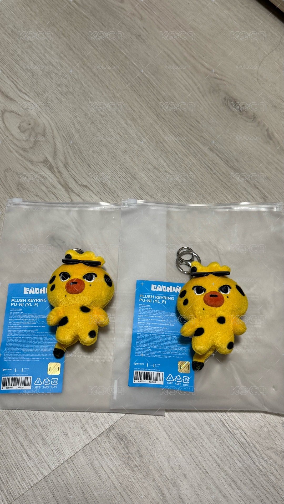 Enhypen Enchin 恩親 現貨✅ 娃娃、手燈套、卡套、吊飾