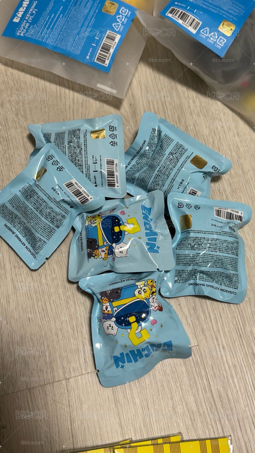 Enhypen Enchin 恩親 現貨✅ 娃娃、手燈套、卡套、吊飾