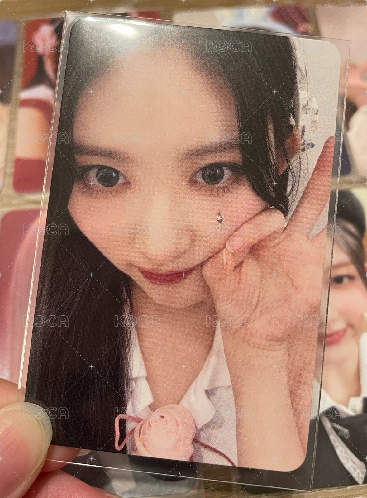 dvd 特典 秋